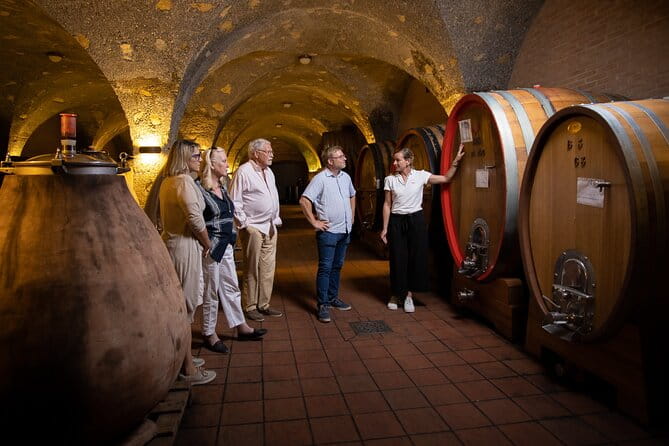 Winery tour & wine tasting in Montalcino - Discovering the Heart of Tuscany’s Winemaking