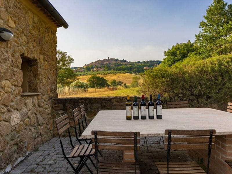 Winery Tour & Wine Tasting with Food near Livorno & Pisa - Key points / Takeaways