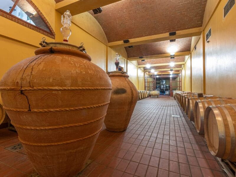 Winery Tour & Wine Tasting with Food near Livorno & Pisa - Logistics and Practical Tips