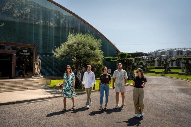 Winery Visit & Fish Market Tour with Tasting from Lisbon - Who Should Consider This Tour?