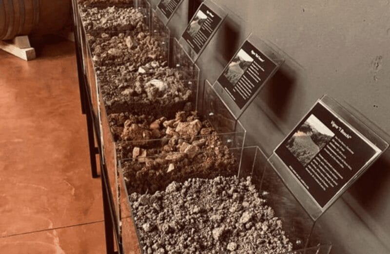 Winery Visit on Parma Hills & Wine Tasting with Food Platter - The Atmosphere and Group Size