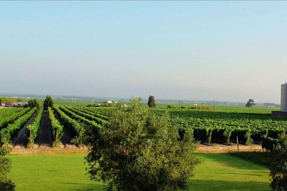 WineTour - Order of Santiago - Palmela - Transportation Details