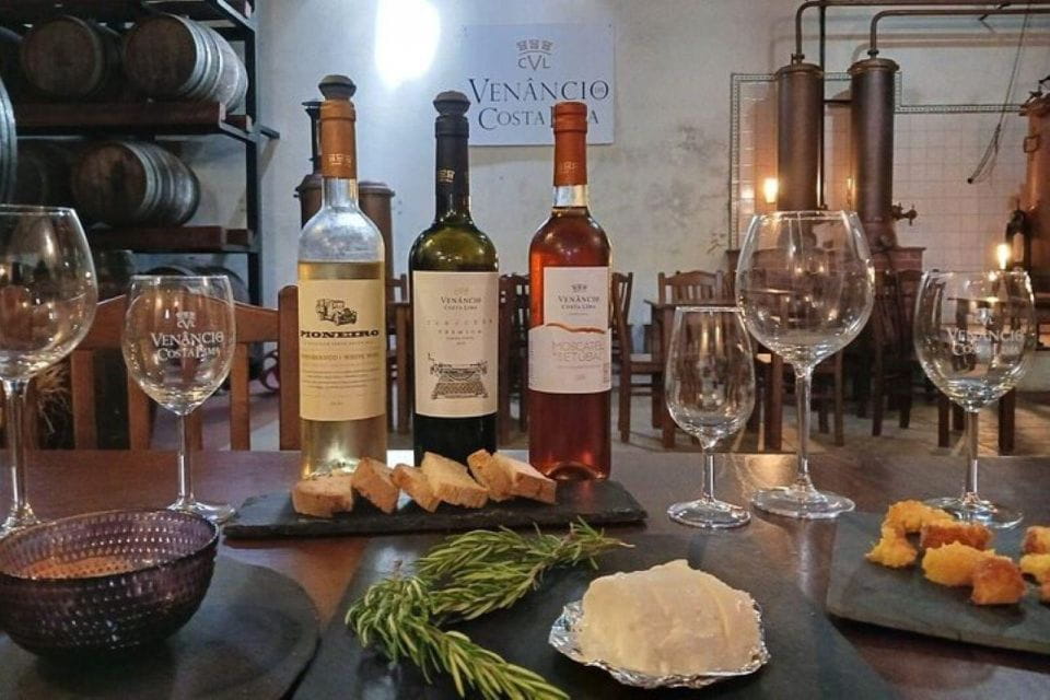 WineTour - Order of Santiago - Palmela - Things To Know