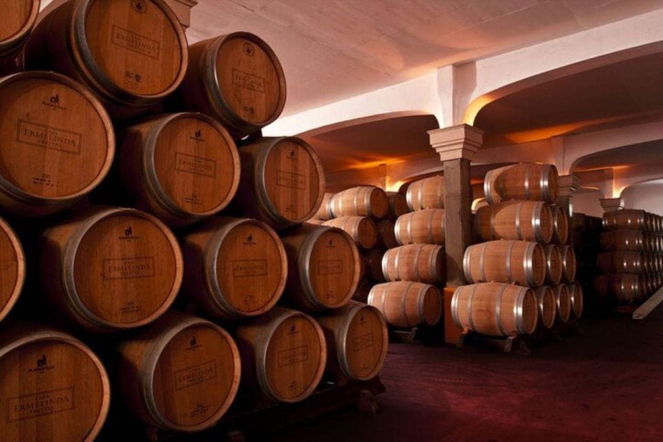 WineTour - Order of Santiago - Palmela - Cancellation and Payment Options