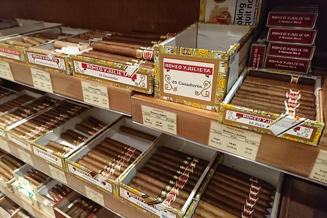 Winston Churchills London and The Churchill War Rooms - A Private Tour. - Tour Accessibility and Participation