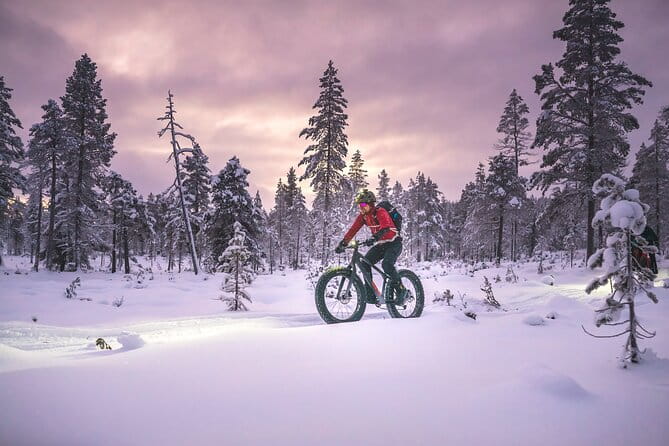 Winter afternoon group Ride in Saariselkä - Returning to Saariselkä Village