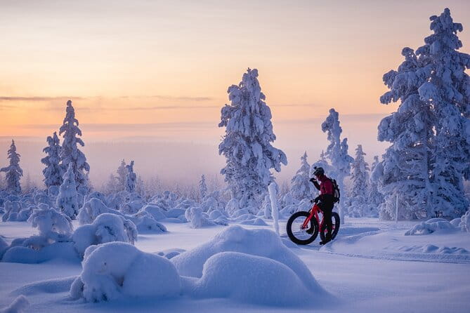 Winter afternoon group Ride in Saariselkä - Who Should Consider This Experience?