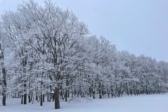 Winter Bites : Taste a Local Flavor in Snow Trek - Key Points