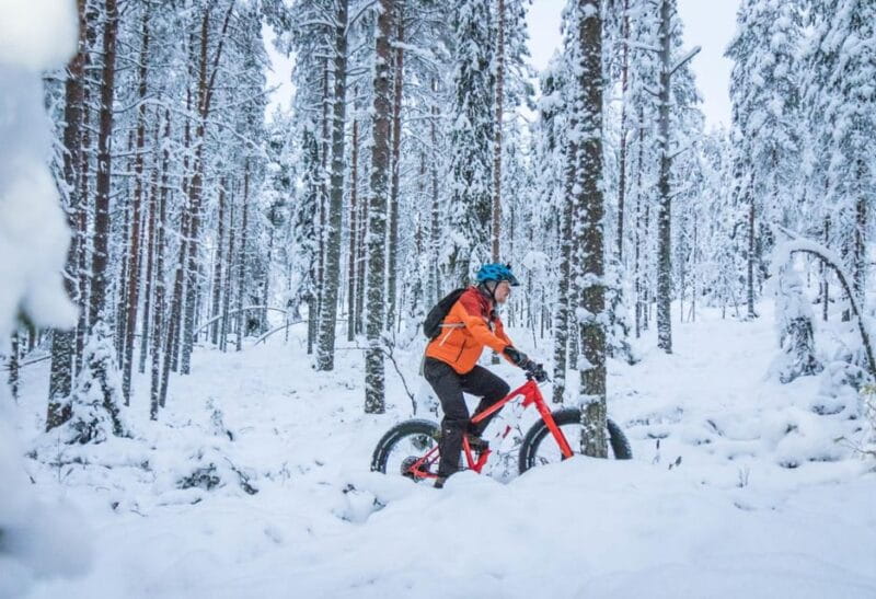 Winter Electric Fat bike Experience - Price and Overall Value