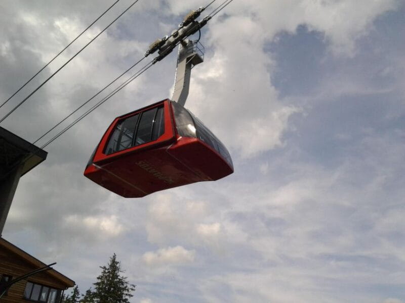 Winter Panorama Mount Pilatus: Small Group Tour from Luzern - The Experience: What to Expect from Start to Finish