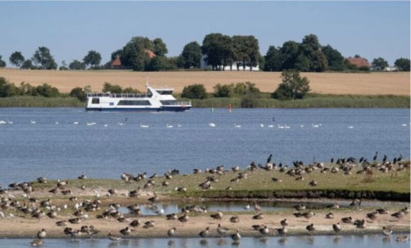 Wismar: Harbor Sightseeing Cruise - Key points / Takeaways