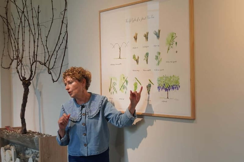 Wiston Estate: Winery Tour and Tasting - Behind the Scenes in the Winery