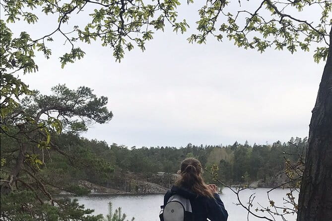 Wolf and Wildlife Tracking in Sweden - Entering the Heart of Sweden’s Wildlife