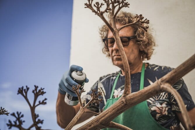 Workshop with the Desert Craftsman in Almería - Final Thoughts: Worth a Try for the Curious and Creative