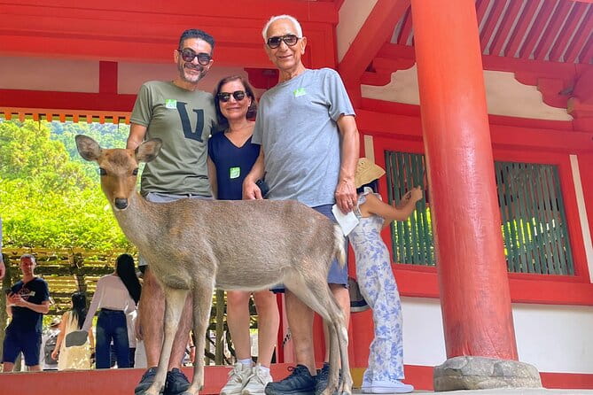 World Heritage Kyoto & Nara Uji Authentic Matcha Experience - Traveler Reviews and Feedback