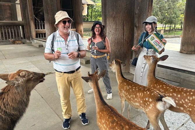 World Heritage Kyoto & Nara Uji Authentic Matcha Experience - Taking in Nara Parks Enchanting Deer Encounters