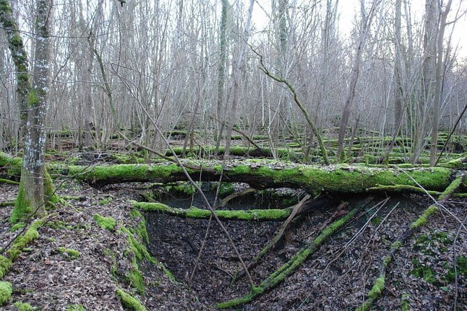 World War 1 Walk Through Trenches and Bunkers - Price and Value — Is It Worth It?