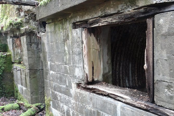 World War 1 Walk Through Trenches and Bunkers - Summary