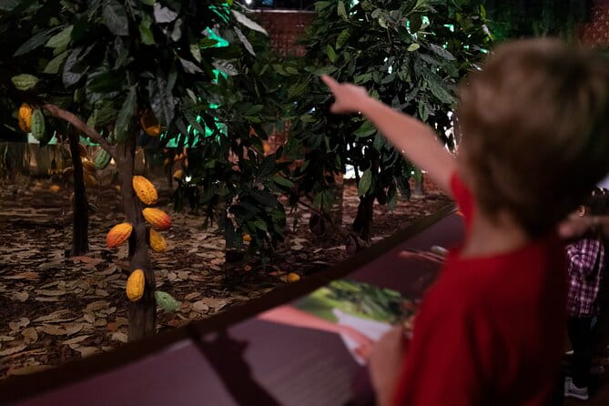 WOW Ticket: The Chocolate Experience by 20|20 - Visiting Porto’s Chocolate Experience: What to Expect