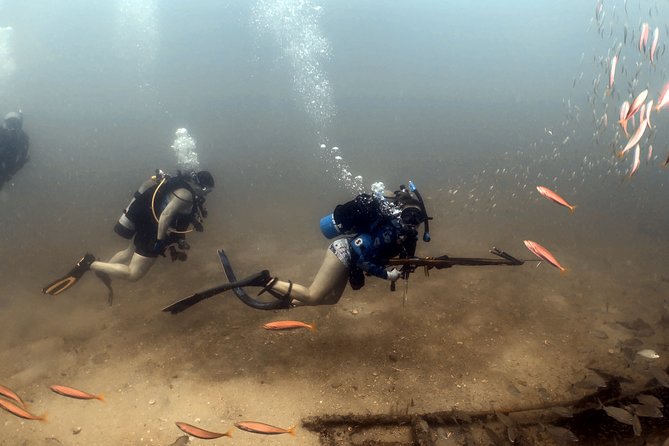Wreck and Bridge Span Dive for Certified Divers - Meeting Point and Logistics