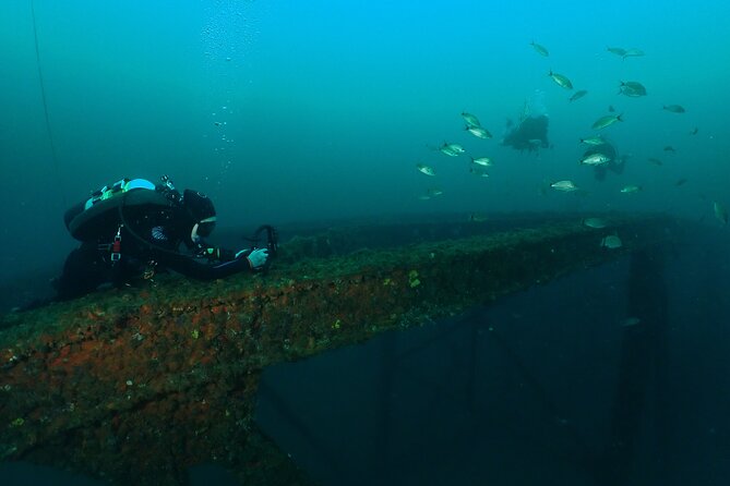 Wreck and Bridge Span Dive for Certified Divers - Certification and Health Restrictions