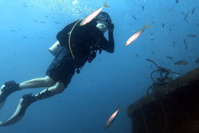 Wreck and Bridge Span Dive for Certified Divers - Fitness Level and Safety Priority