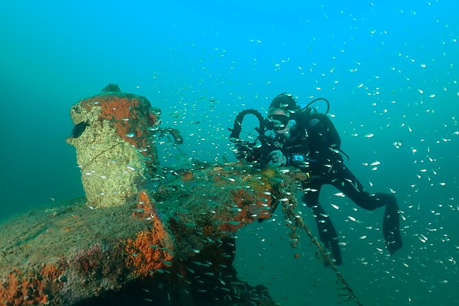 Wreck and Bridge Span Dive for Certified Divers - Booking Information and Pricing