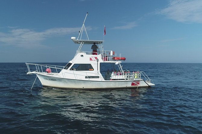 Wreck and Bridge Span Dive for Certified Divers - Cancellation Policy and Minimum Requirement