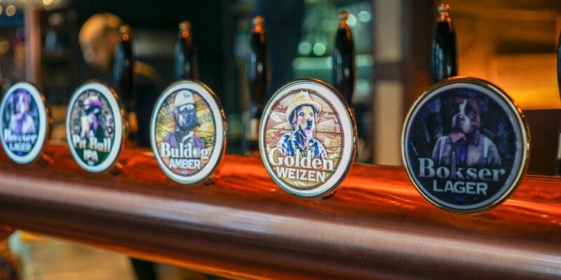 Wroclaw: Guided Tour & Beer Tasting (2 hours) - The Itinerary Breakdown: What You’ll See and Experience