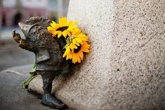 Wroclaw Old Town Private Tour - An Inside Look at the Wroclaw Old Town Private Tour