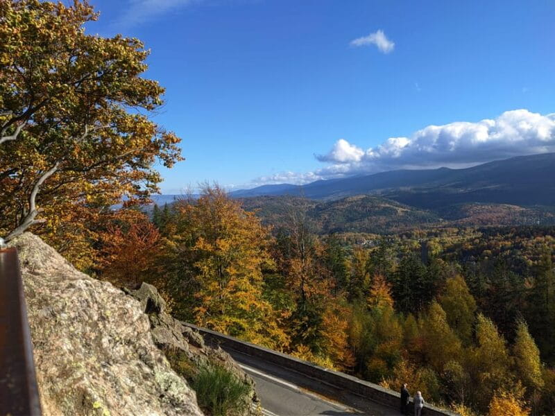 Wroclaw to Prague: 2-in-1 (Private Transfer + Country Tour) - Final Thoughts: Is This the Right Choice?