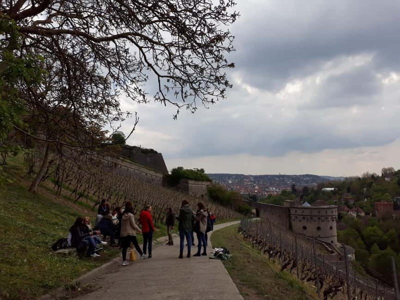 Wuerzburg: Vineyard rally with wine tasting and group dynamics - The Sum Up: Is It Worth It?