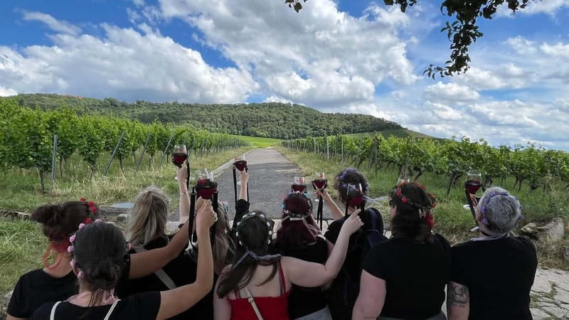 Würzburg: Excursion to the vineyards - enjoyable wine hike & tasting - A Flavorful Walk Through Franconian Vineyards: Würzburg’s Wine Hike & Tasting Experience