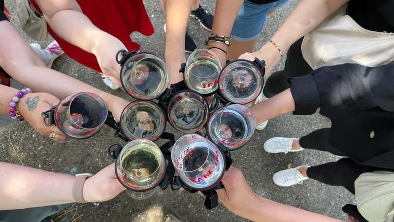 Würzburg: Excursion to the vineyards - enjoyable wine hike & tasting - Who This Tour Suits Best