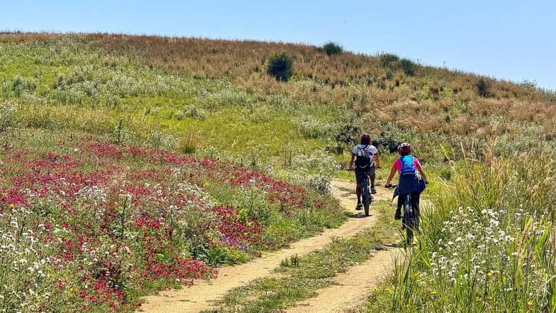 WWF E-BIKE TOUR | Riserva Naturale di Torre Salsa Con pranzo - Exploring Sicily’s Wild Side with an E-Bike Tour in Torre Salsa