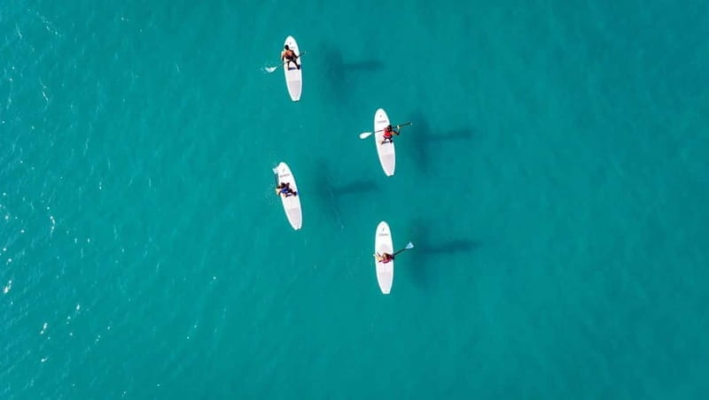 WWF TOUR alla Riserva Naturale di Torre Salsa in SUP - A Closer Look at the Experience