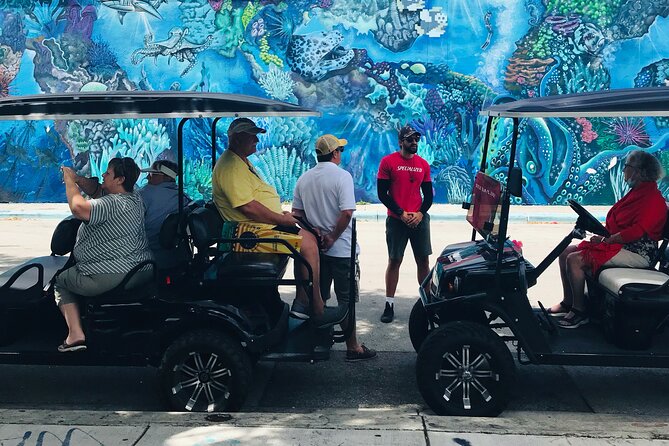Wynwood Graffiti Golf Cart Small-Group Tour - Exploring the Wynwood Art Scene