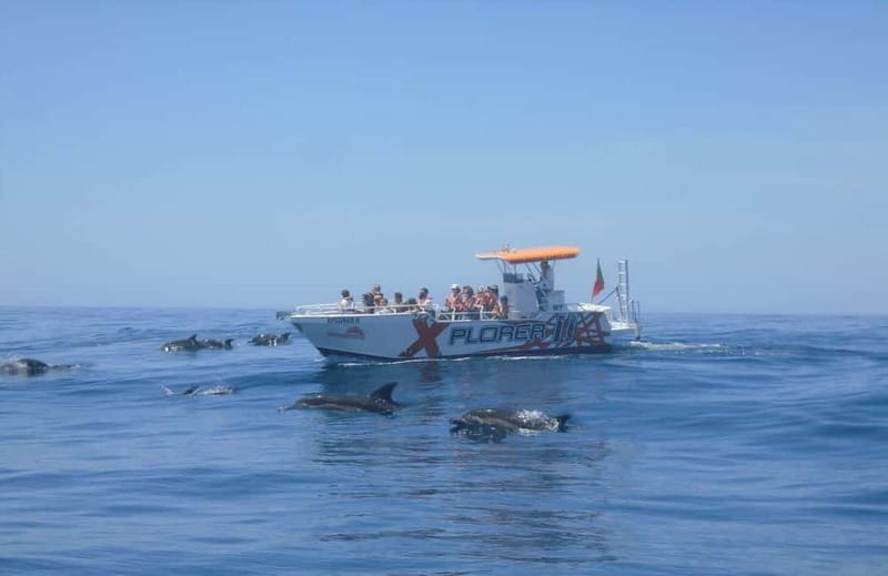 X Plorer  Caves (Benagil) & Dolphins Cruise - Discovering Algarve’s Hidden Gems from the Water