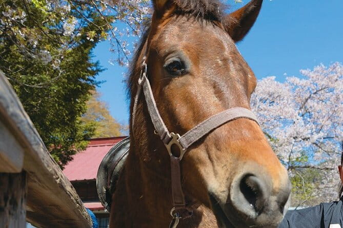 Yabusame Adventure With Mt. Fuji Views - Booking and Cancellation Policy