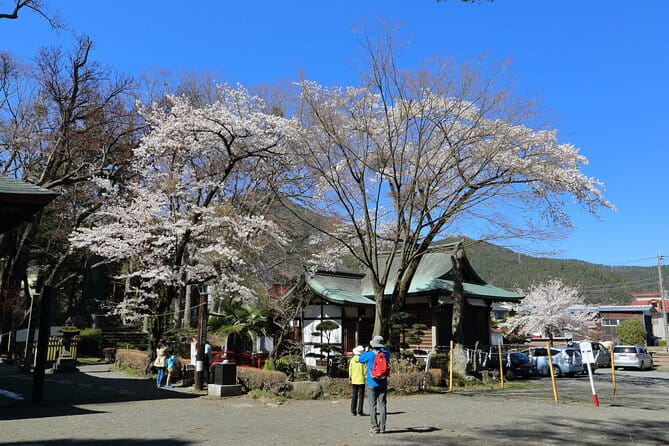 Yabusame Adventure With Mt. Fuji Views - The Scenic Views of Mt. Fuji