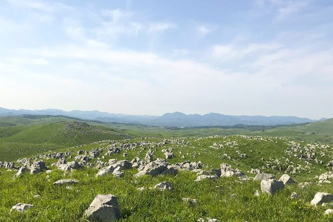 Yamaguchis 4spectacular&Karato Market of Day Tour From Fukuoka - Health and Safety Guidelines