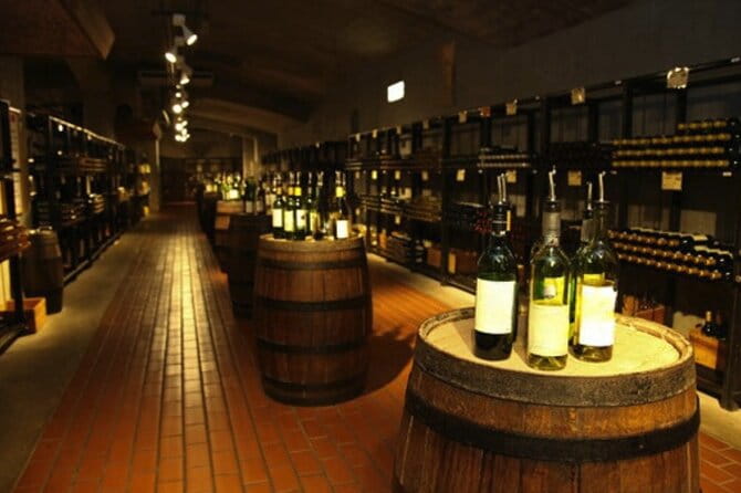 Yamanashis Hidden Gems Erinji Temple and Katsunuma Winery - Wine Tasting Experience at Katsunuma Winery