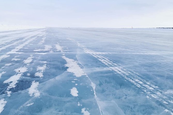 Yellowknife City Tour + Natures North Wildlife Gallery - Tour Schedule