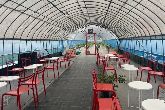 YokaBus 2 Hour Strawberry Feast Healthy Lunch Sakura Dyeing Tour - Key Points