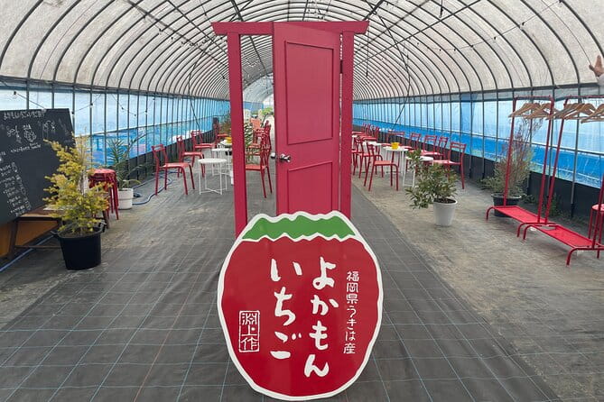 YokaBus 2 Hour Strawberry Feast Healthy Lunch Sakura Dyeing Tour - What to Expect During the Strawberry Feast