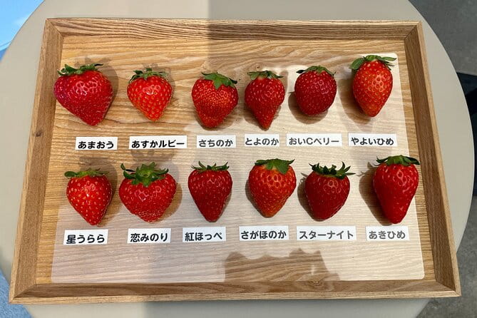 YokaBus 2 Hour Strawberry Feast Healthy Lunch Sakura Dyeing Tour - Meeting and Pickup Details