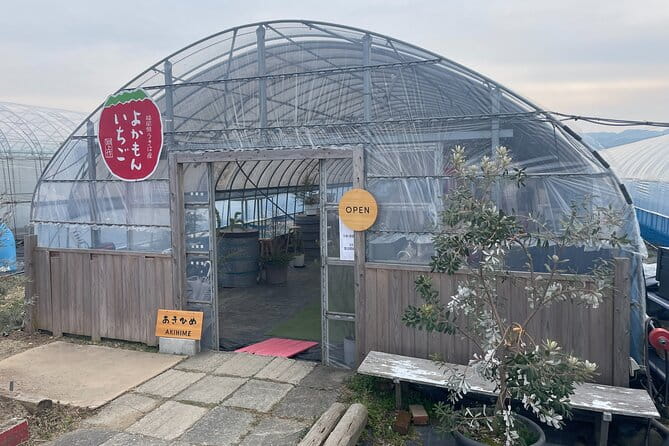 YokaBus 2 Hour Strawberry Feast Healthy Lunch Sakura Dyeing Tour - Frequently Asked Questions