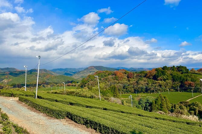 YokaBus Heritage in a Cup of a Yame Tea & Sake Tasting Expedition - Sake Tasting Experience