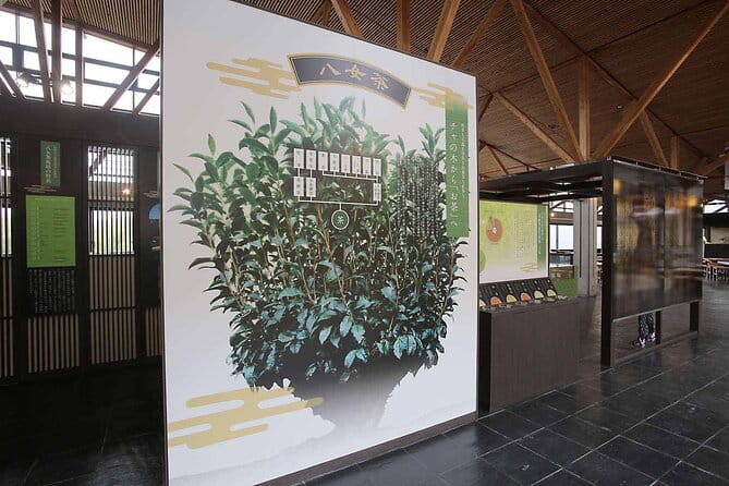 YokaBus Heritage in a Cup of a Yame Tea & Sake Tasting Expedition - Booking and Participation Details