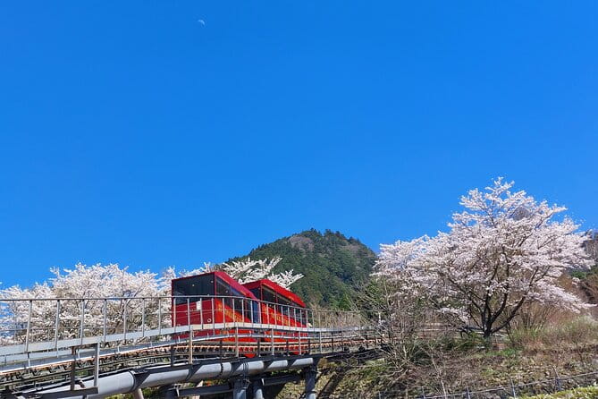 YokaBus Hikosan Jingu and Showa Era Market Tour - Cancellation Policy